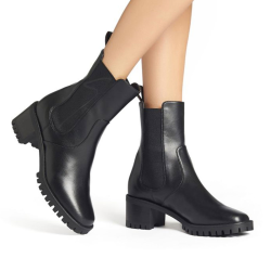 giuseppe zanotti boots & bottines Boots elas t5 Détails : Élastique...