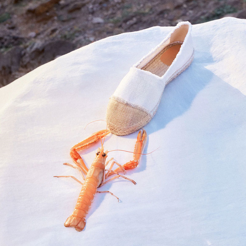 castaner espadrilles Espadrilles Campala Détails : Liège / Corde -S...