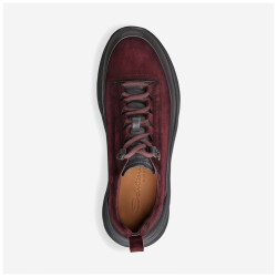 Sneakers Easy