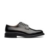 Derbies Shannon