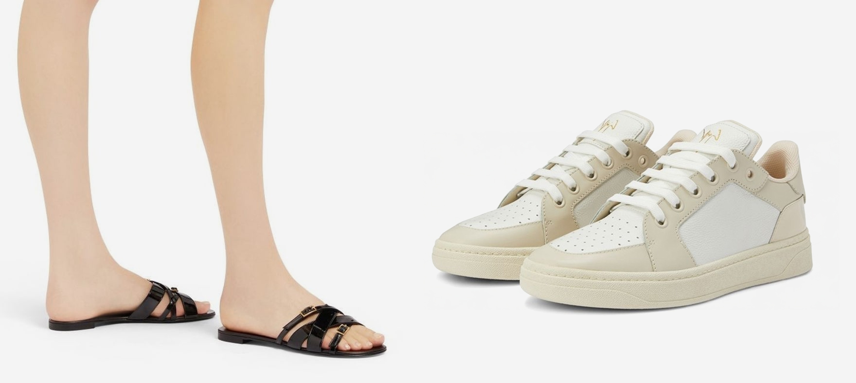 giuseppe zanotti